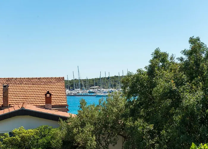 Ella * روغوزنيكا